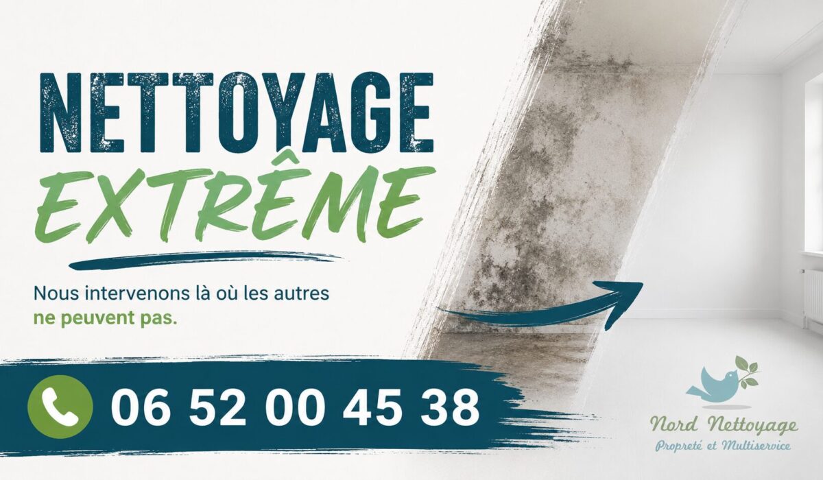 Équipe spécialisée en nettoyage extrême à Vaires-sur-Marne avec remise en état complète de logements insalubres et désinfection professionnelle.