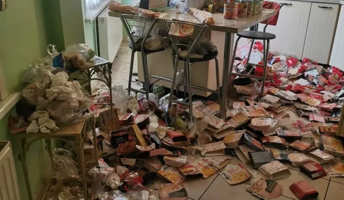 Nettoyage et désinfection d’un logement insalubre à Toulon