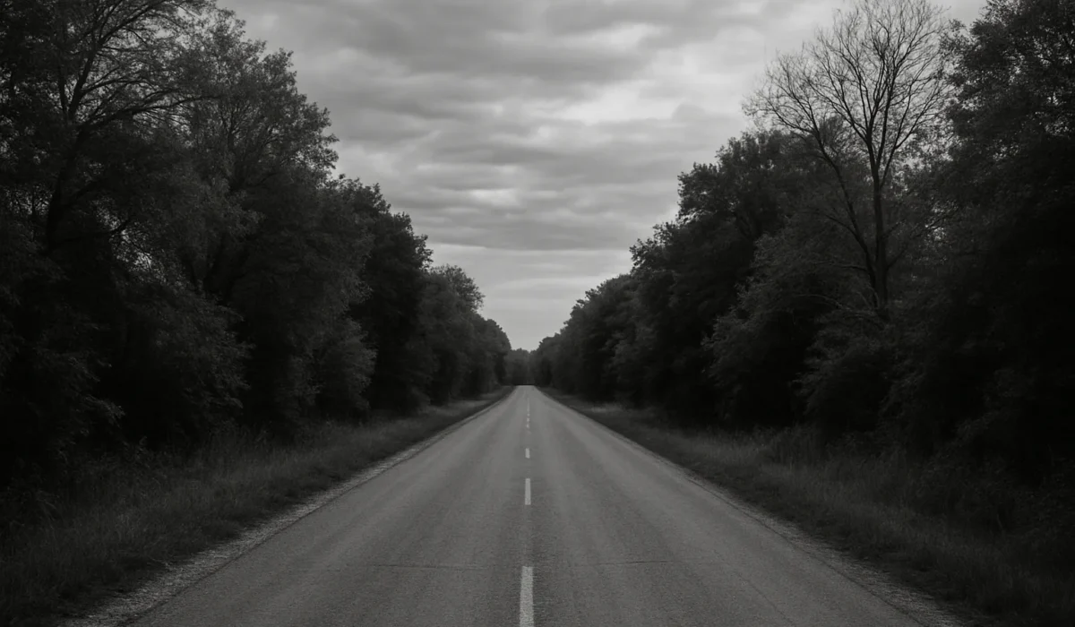 Route de campagne vide sous un ciel nuageux, entourée d'arbres.