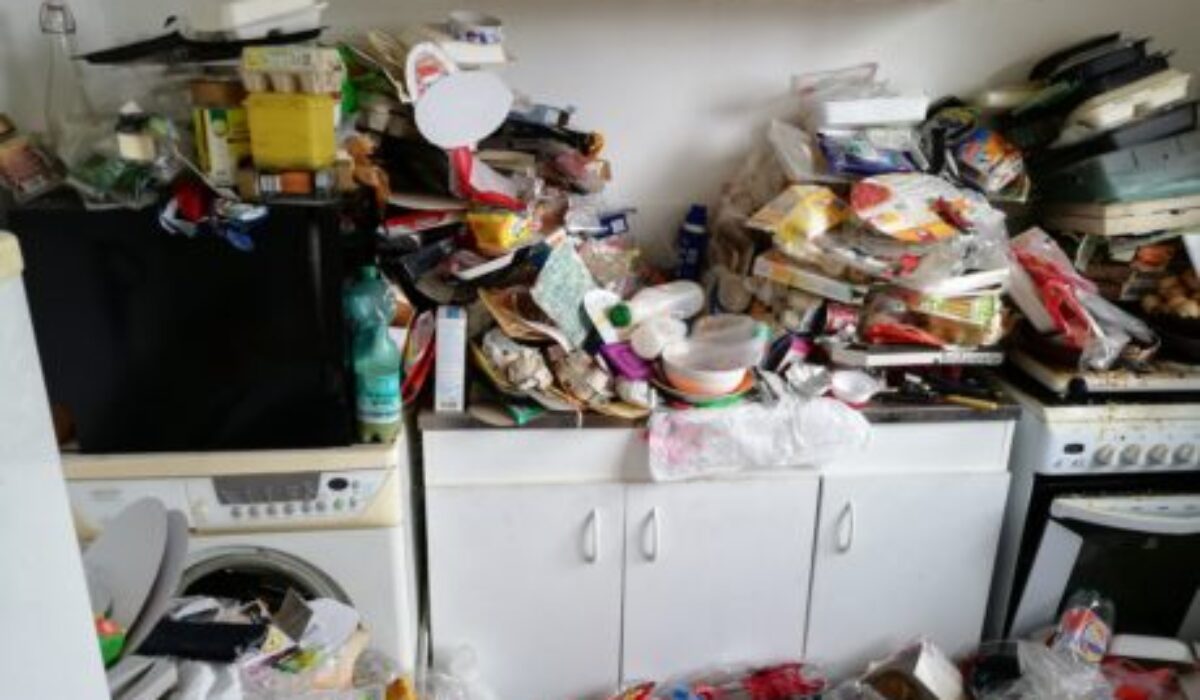 Propreté et Syndrome de diogène