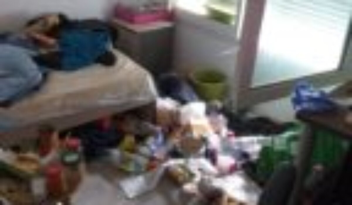 Reconnaitre et identifier le syndrome de diogène