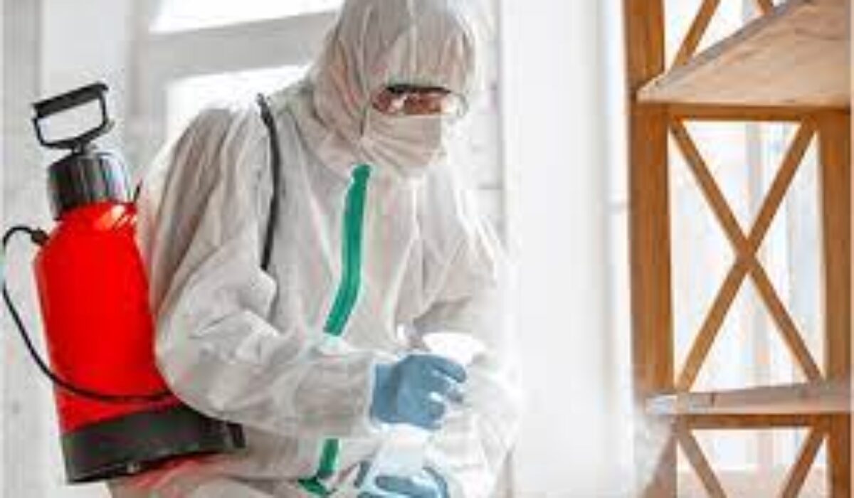 Entreprise de nettoyage et de désinfection coronavirus