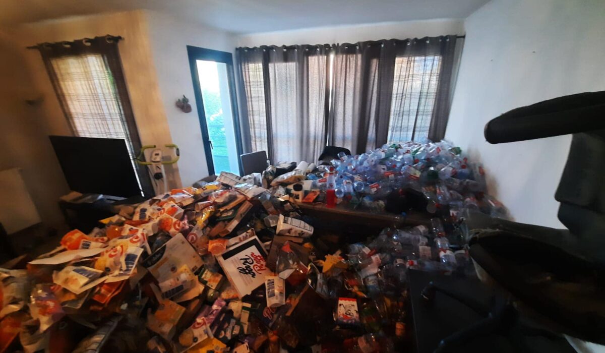 type-syndrome-diogene