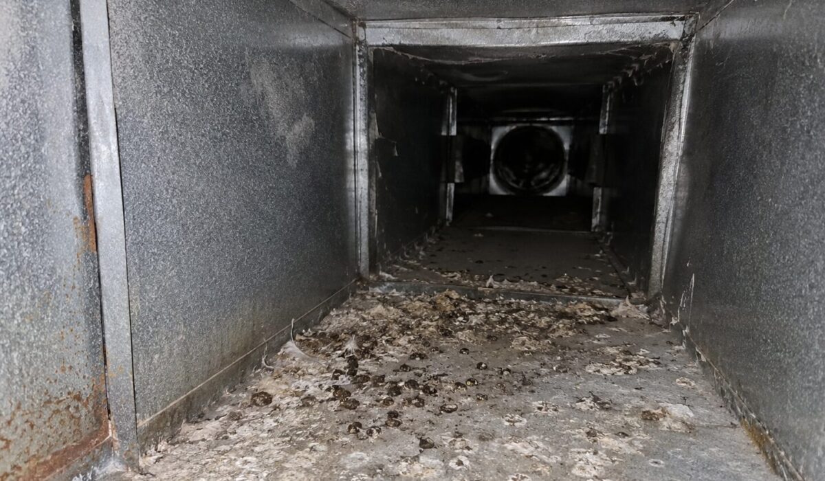 Fientes dans une gaine de ventilation de salle de sport présentant un risque de diffusion de particules contaminantes